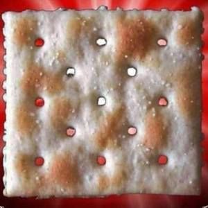 Meet your Posher, Justin ray